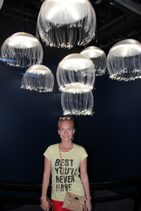 �������� � ��������